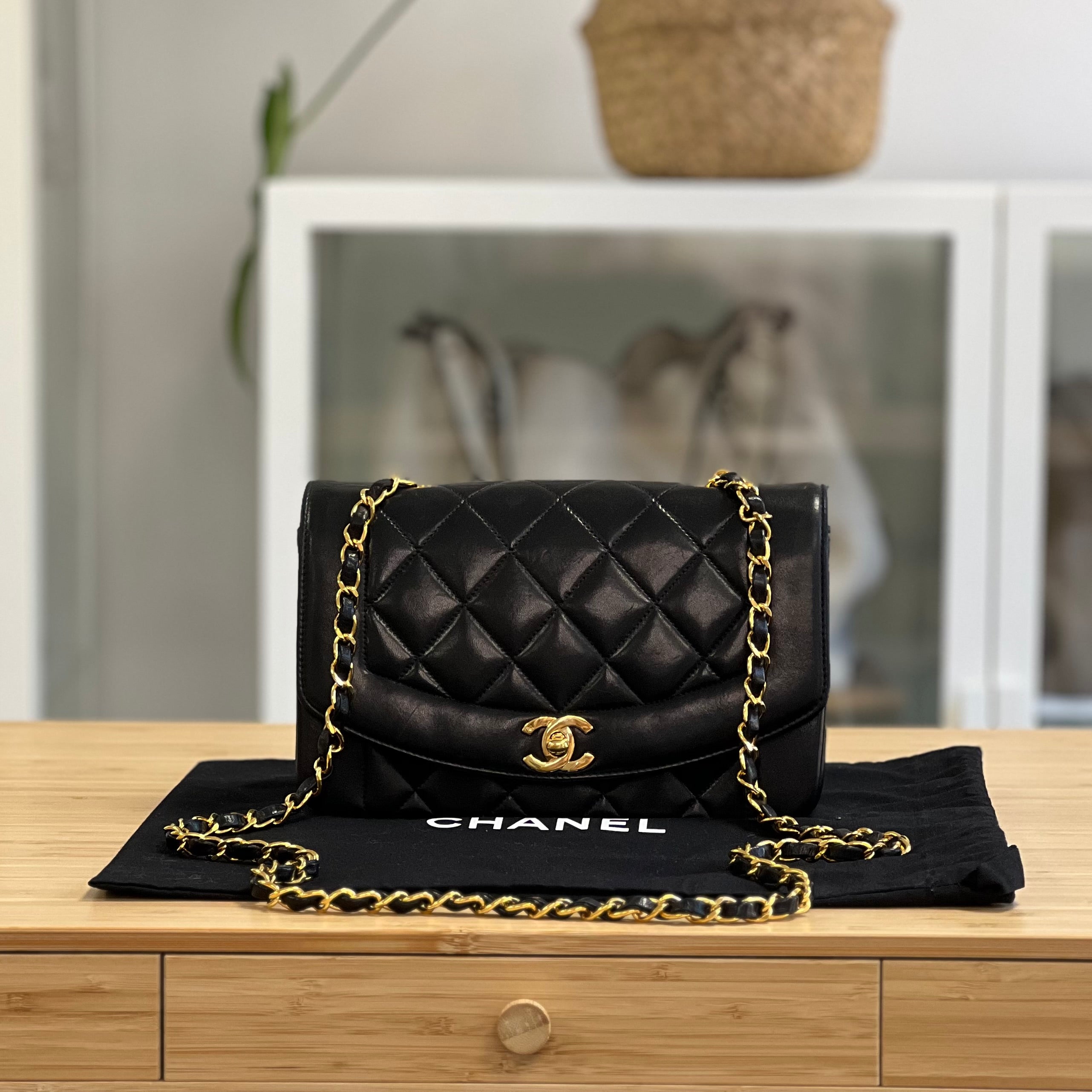 Preloved Chanel Diana
