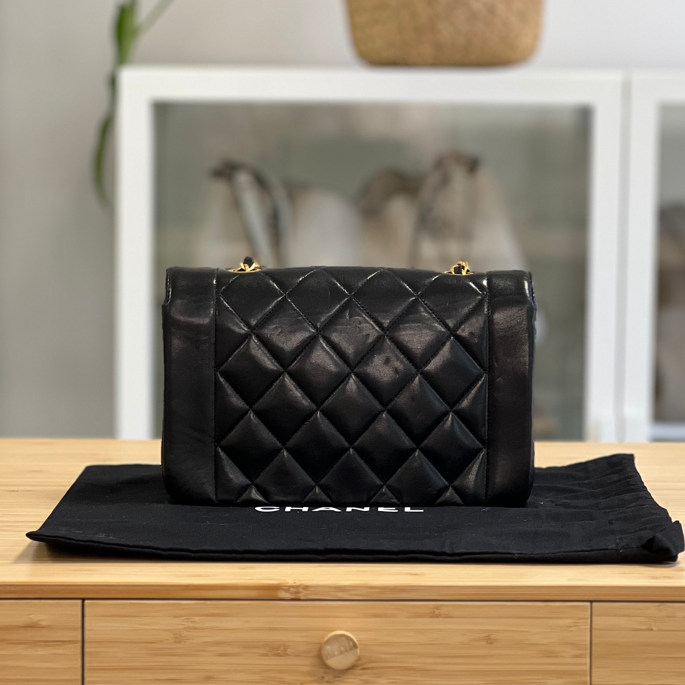 Preloved Chanel Diana