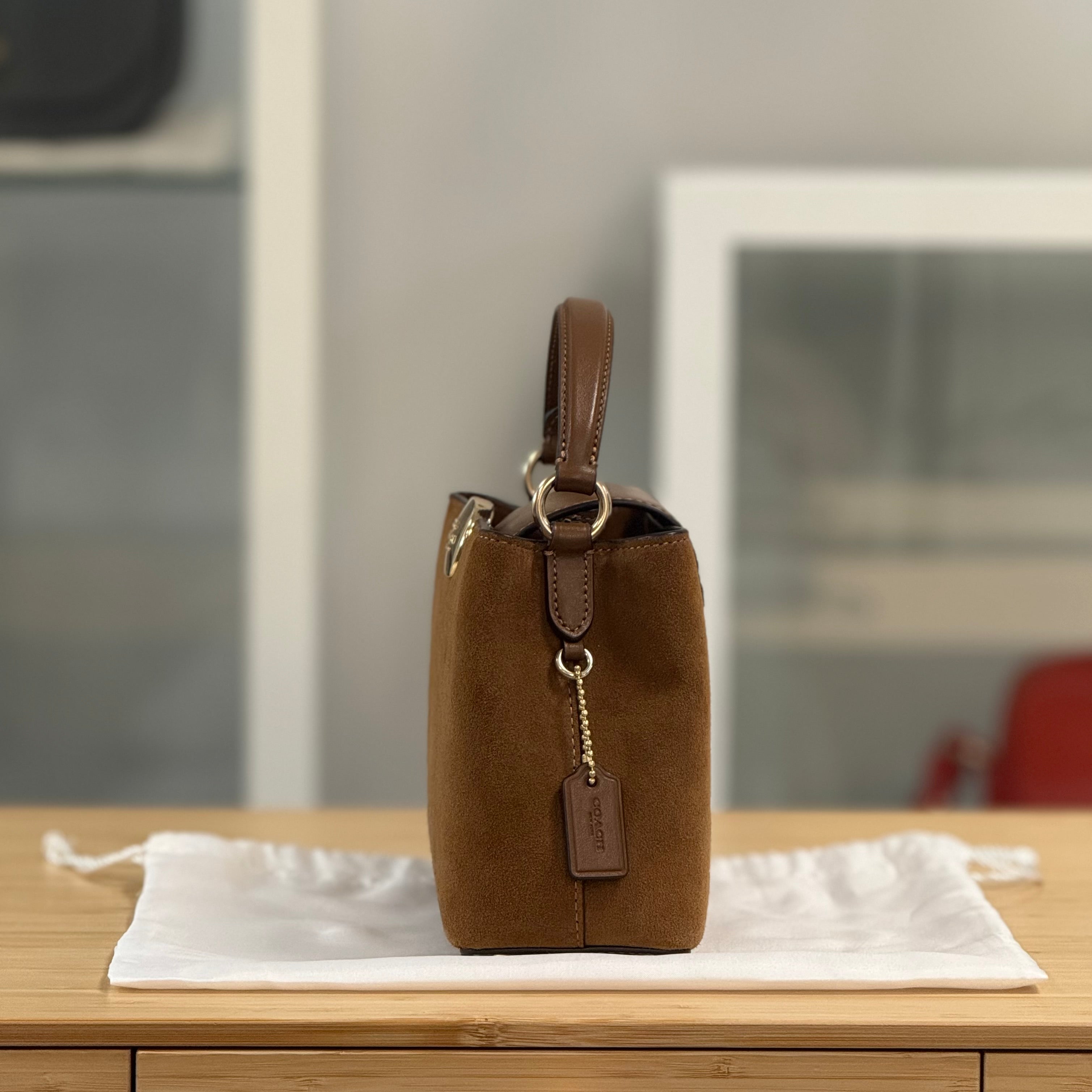 Coach Eliza Mini Carryall