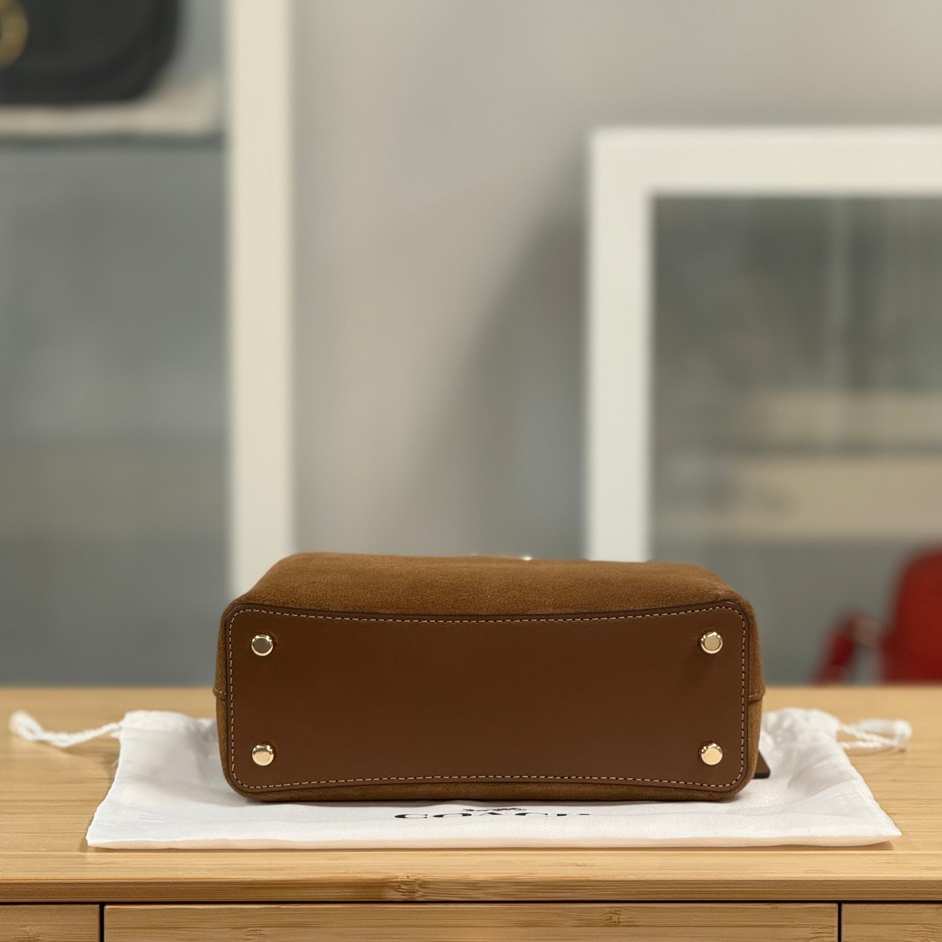 Coach Eliza Mini Carryall