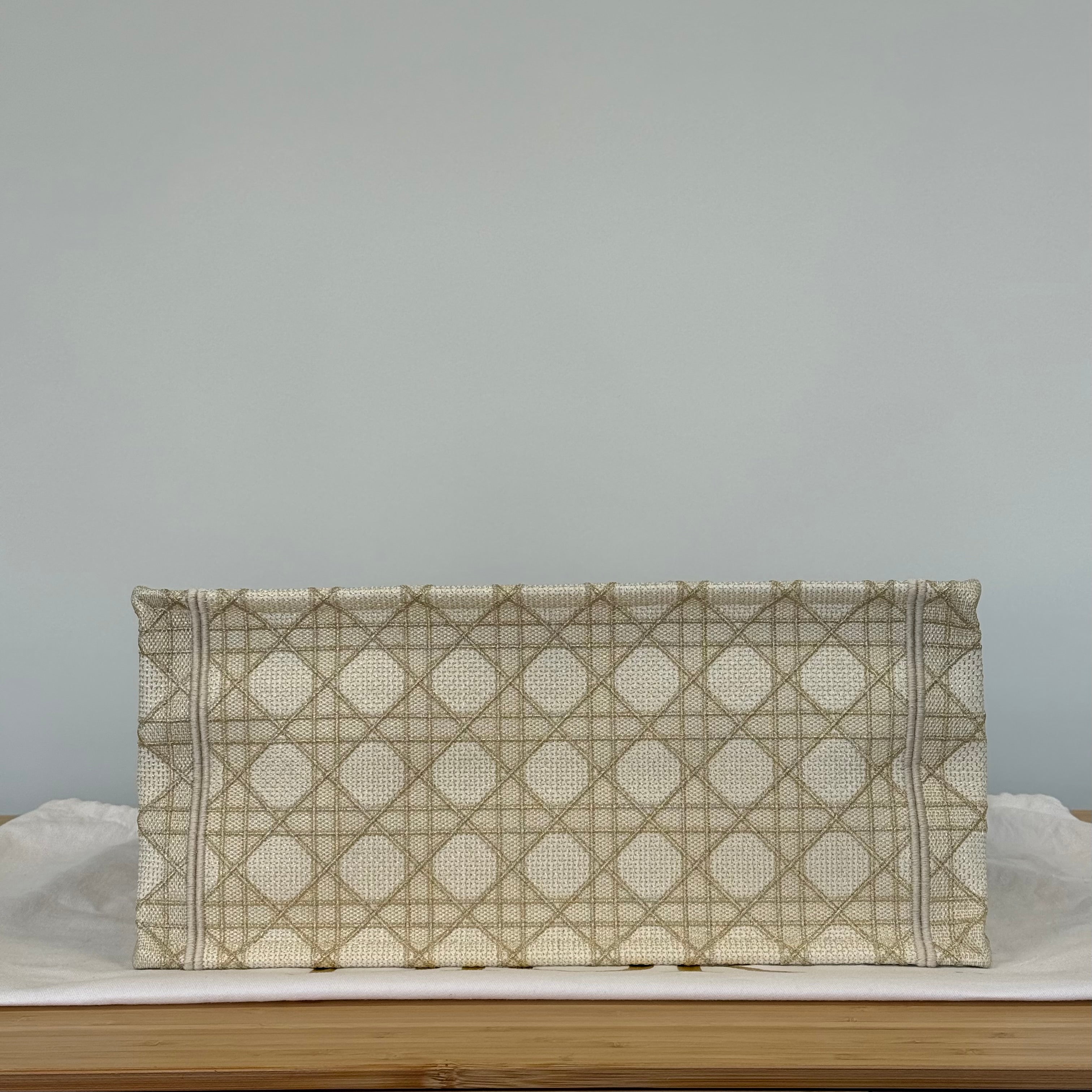 Dior Book Tote