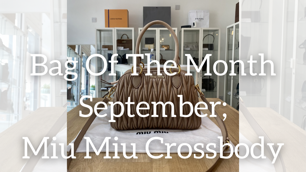 Septembers Bag Of The Month; Miu Miu
