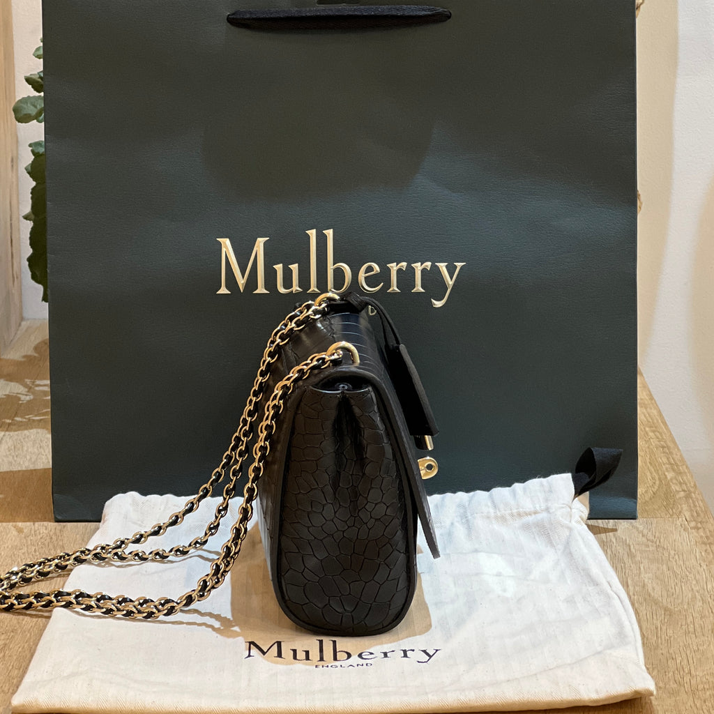 Mulberry Lily