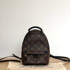 Louis Vuitton Palm Springs Mini