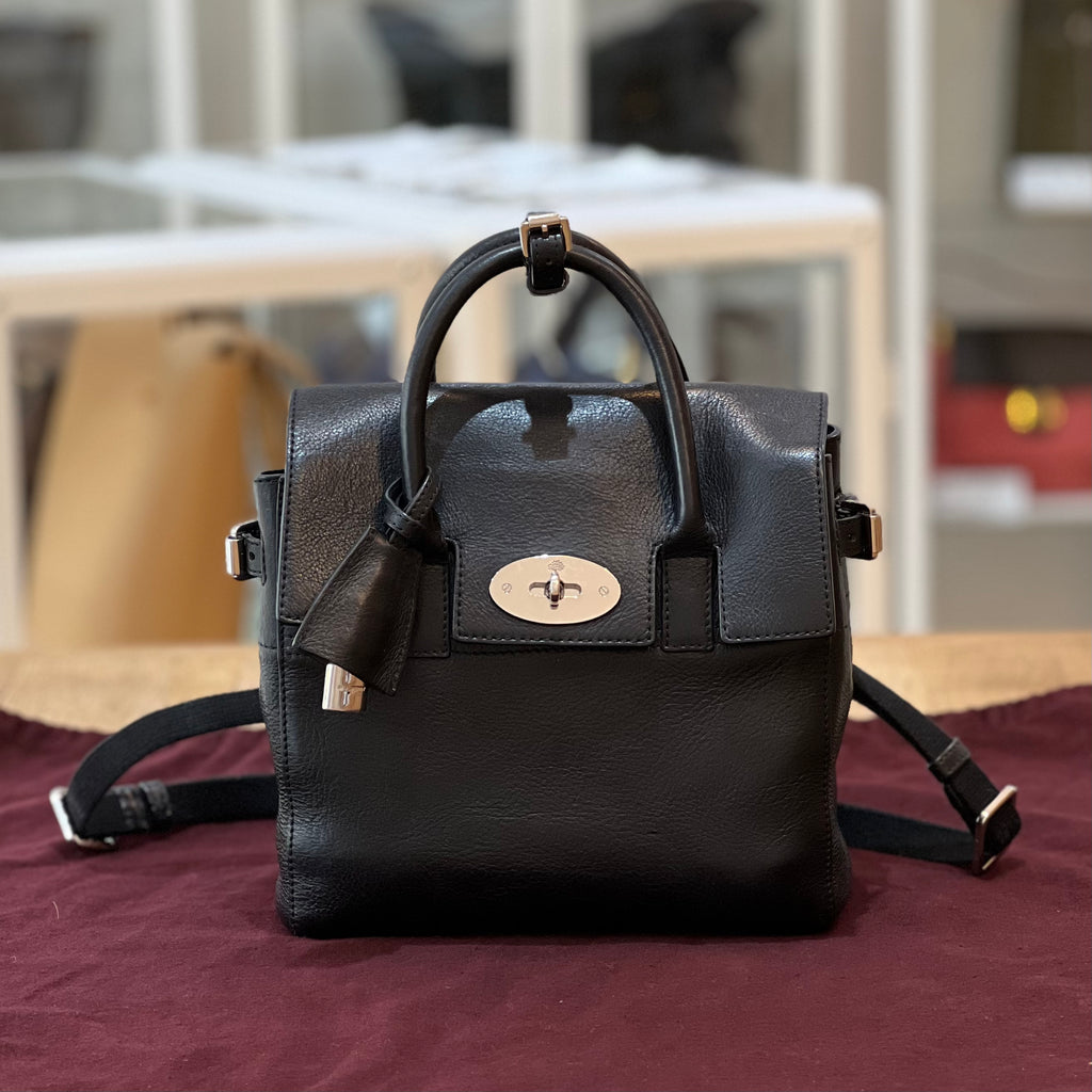 Mulberry Cara Mini