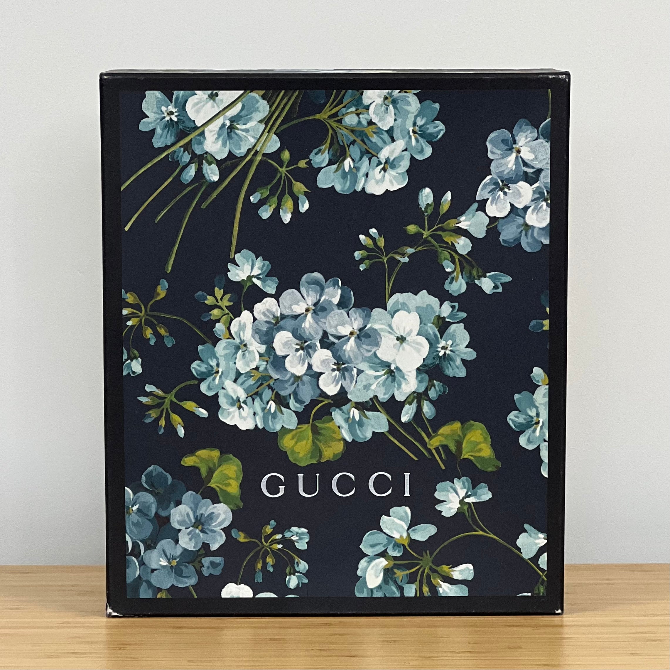 Preloved Gucci Marmont Camera