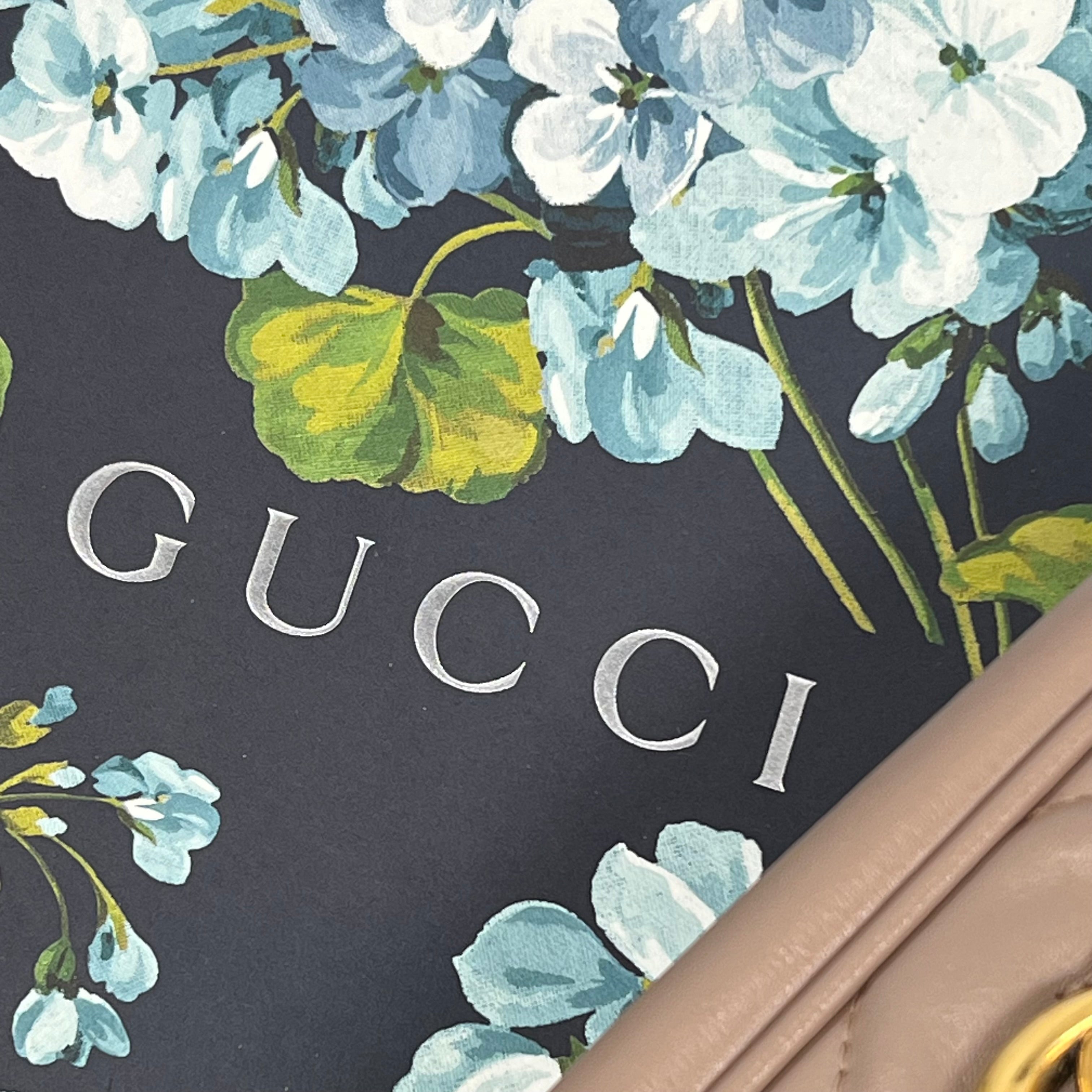 Preloved Gucci Marmont Camera