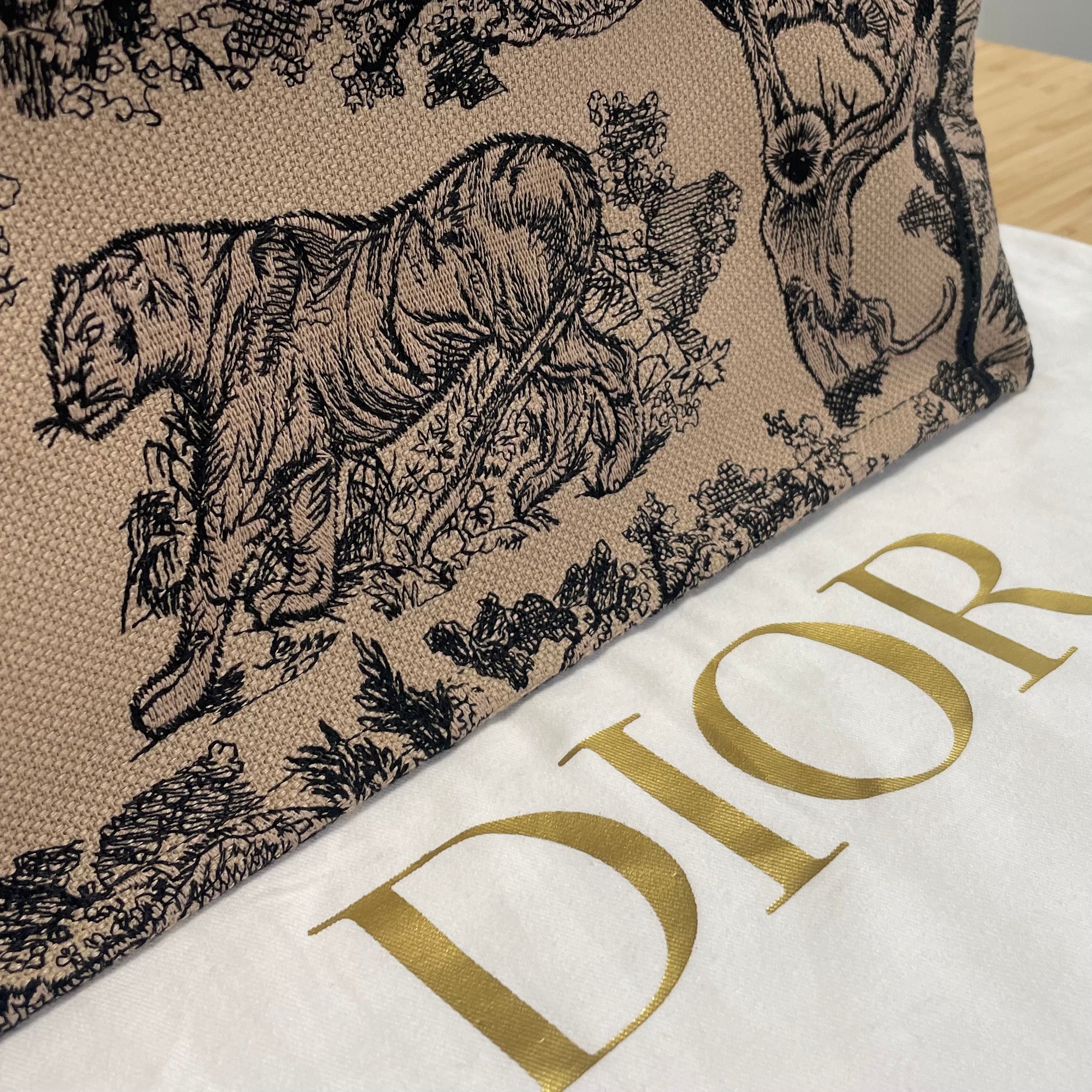 Dior Book Tote Medium