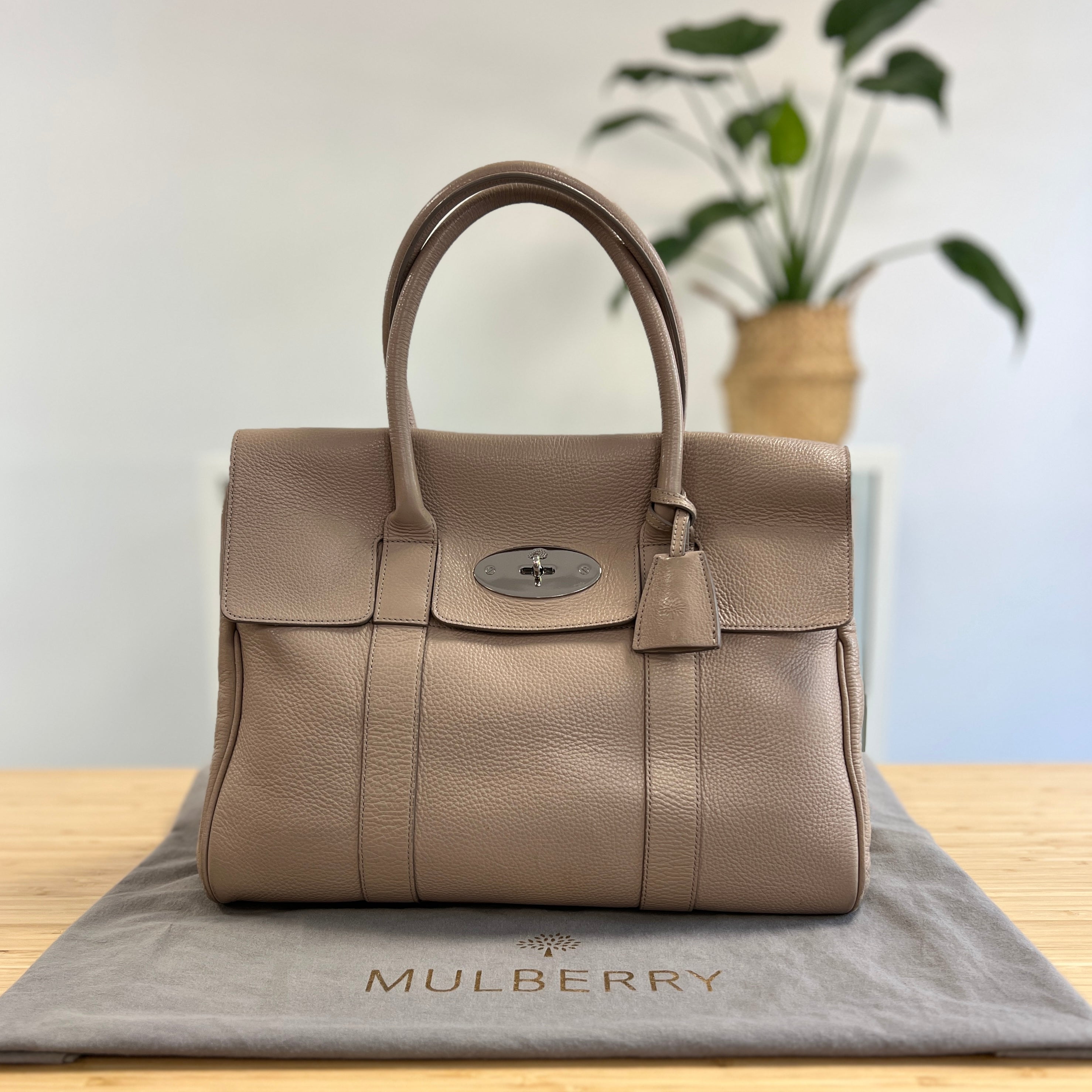 Mulberry Bayswater