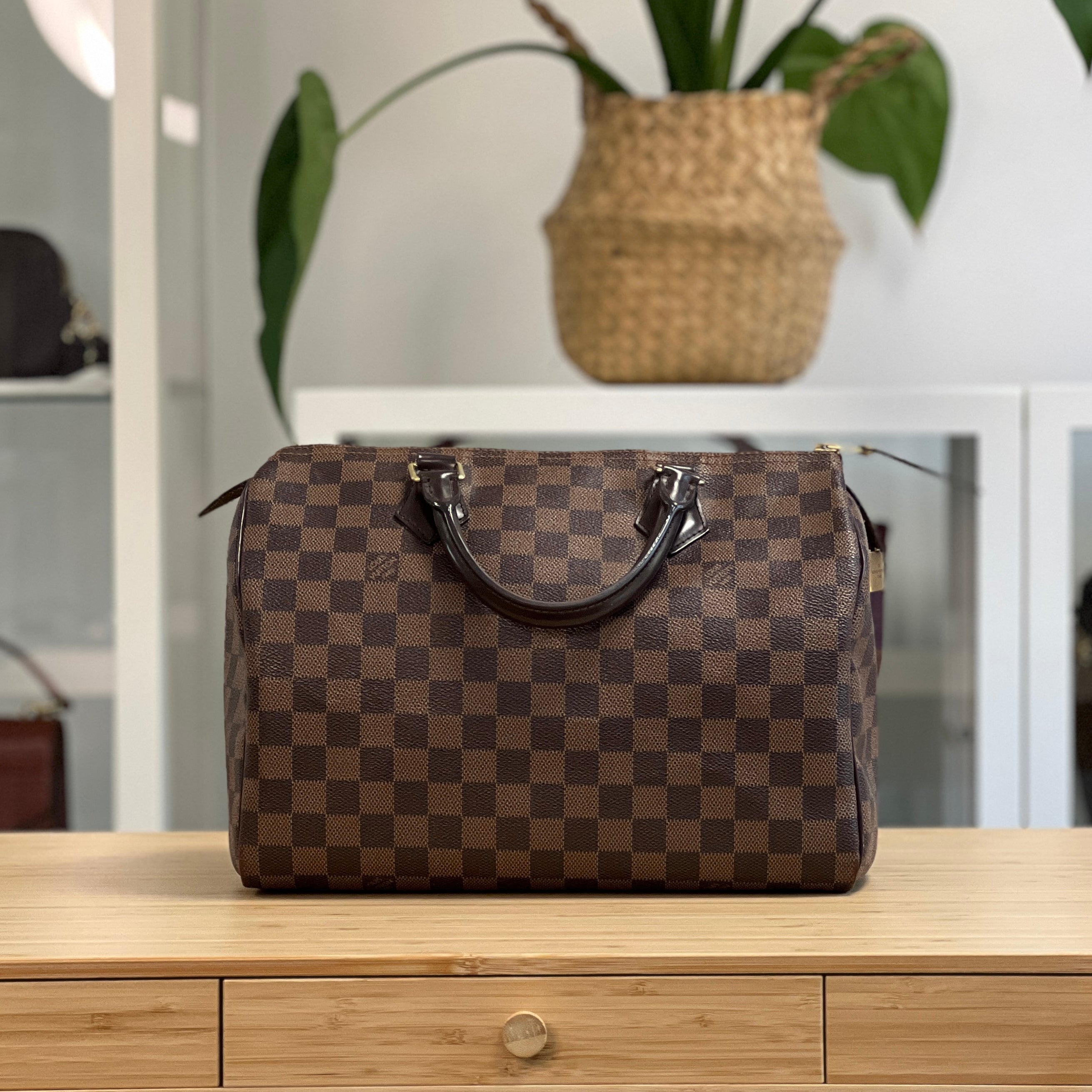Everything You Need to Know About Used Louis Vuitton Bag