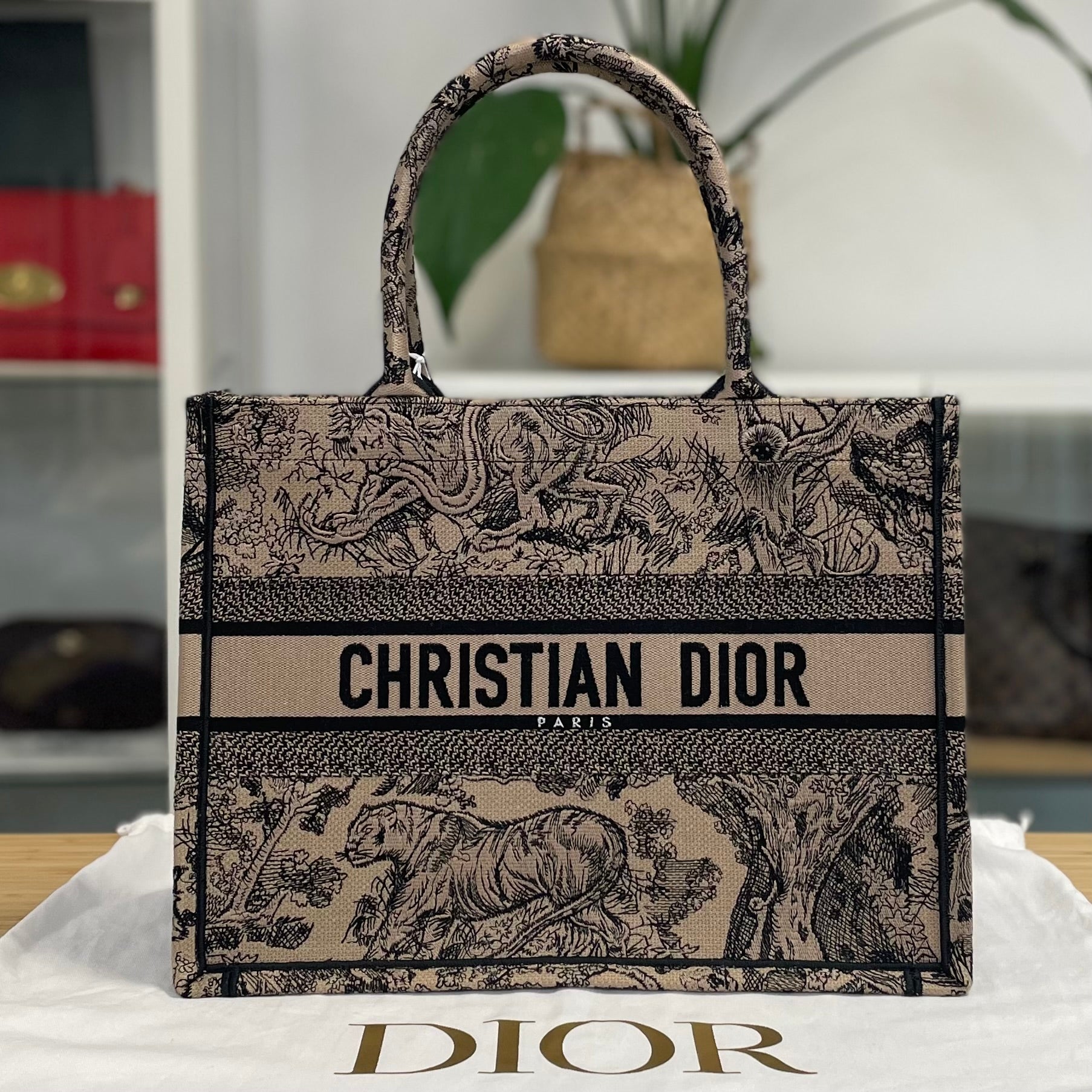 Dior Book Tote Medium