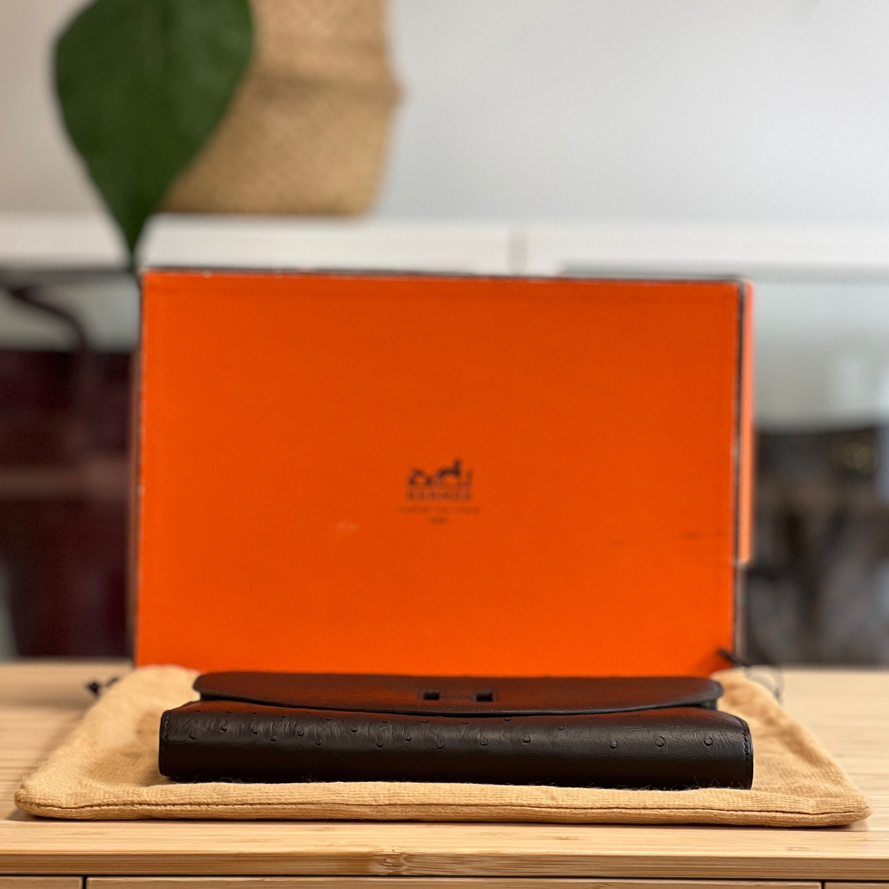 Hermès Ostrich Skin Clutch – ARMCANDY BAG CO