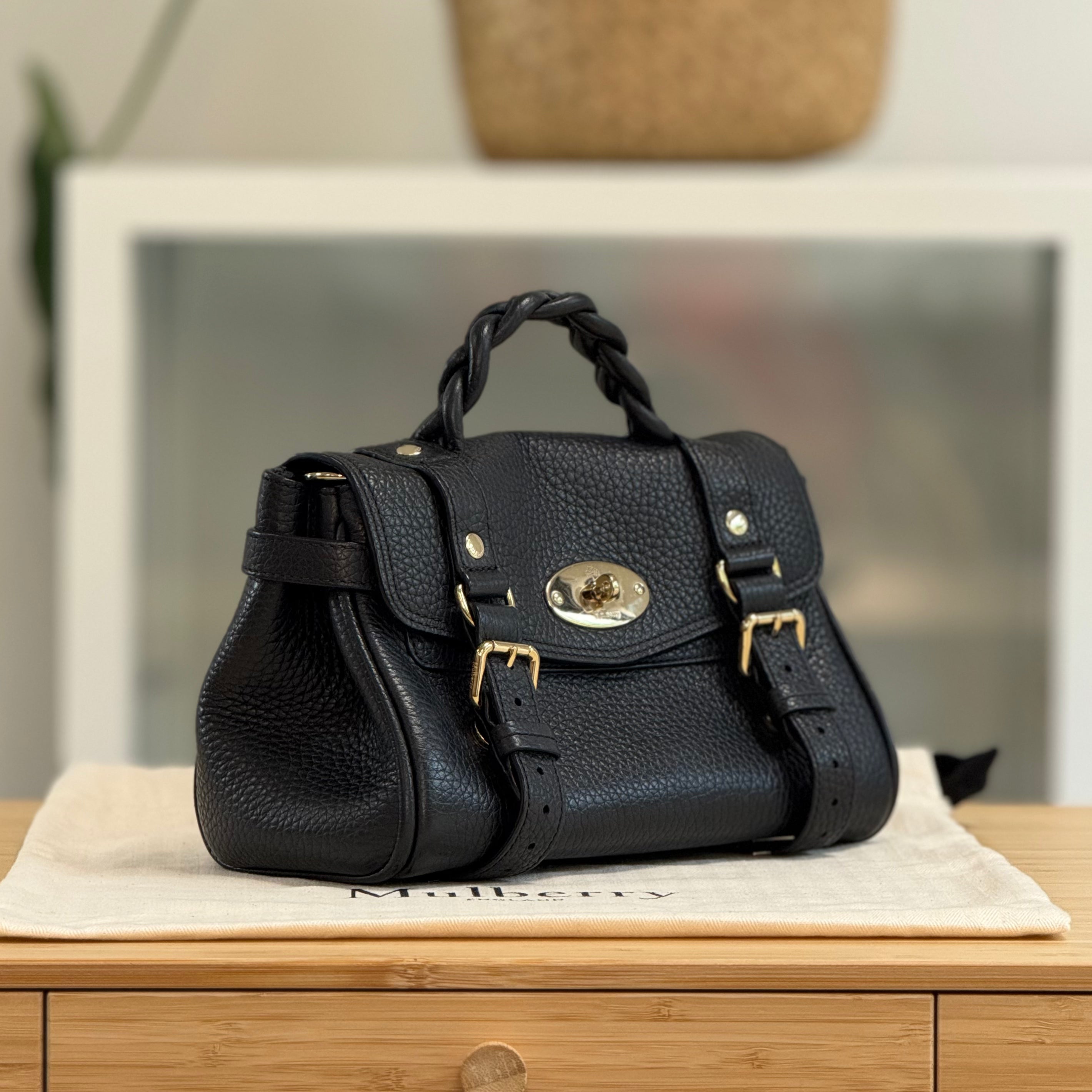 Preloved Mini Alexa 