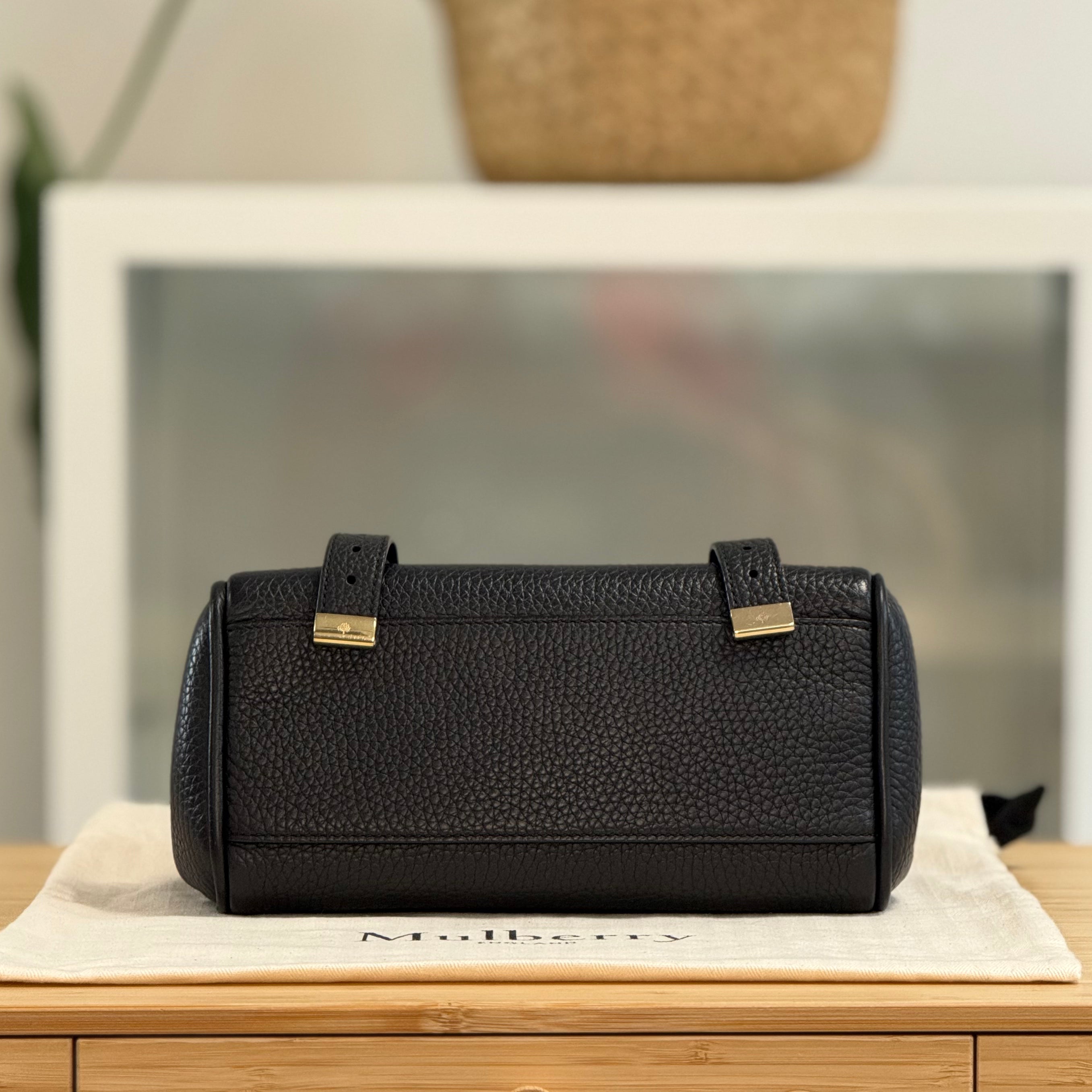 Preloved Mini Alexa 