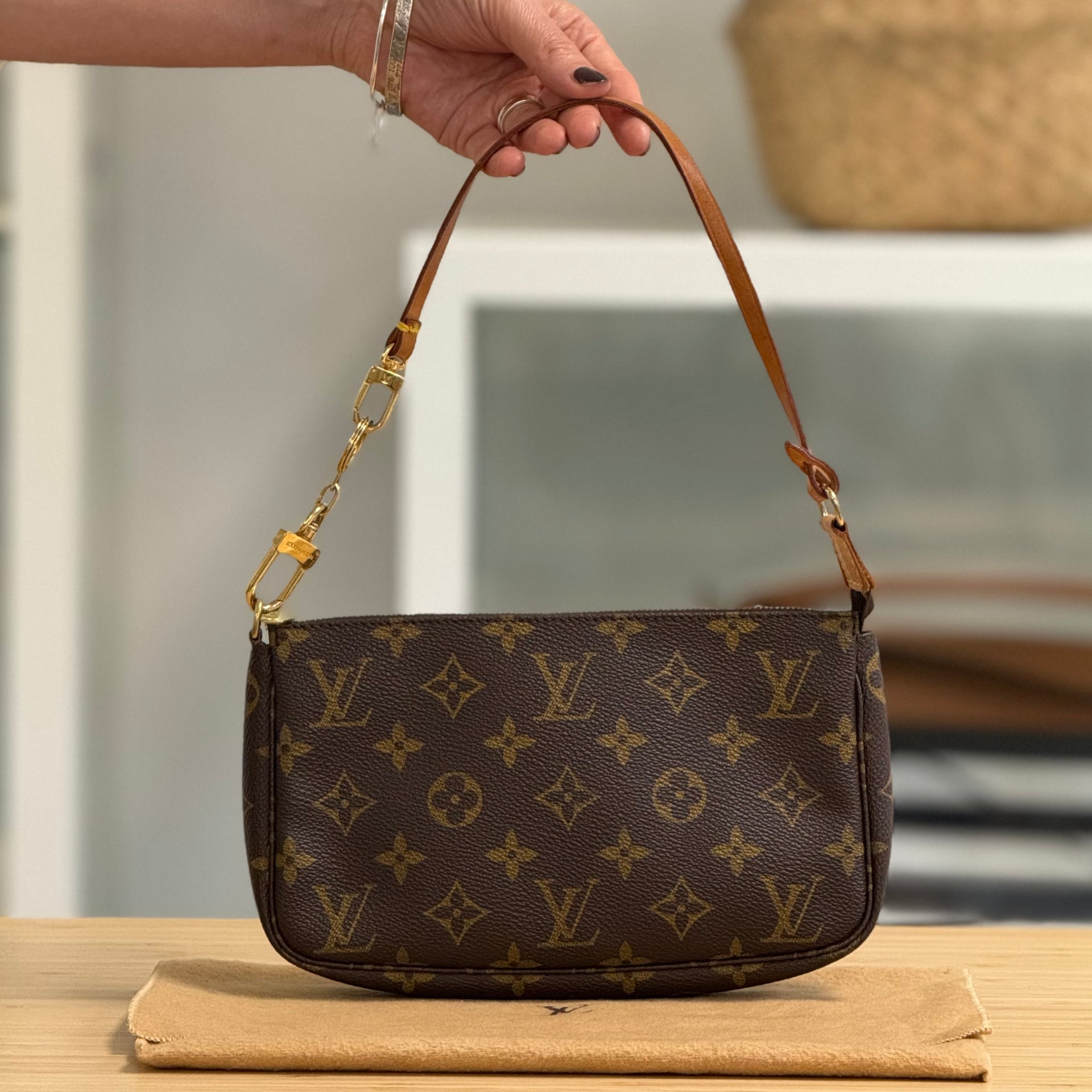 Louis Vuitton Pochette Accessoires Bag LOUIS VUITTON Monogram