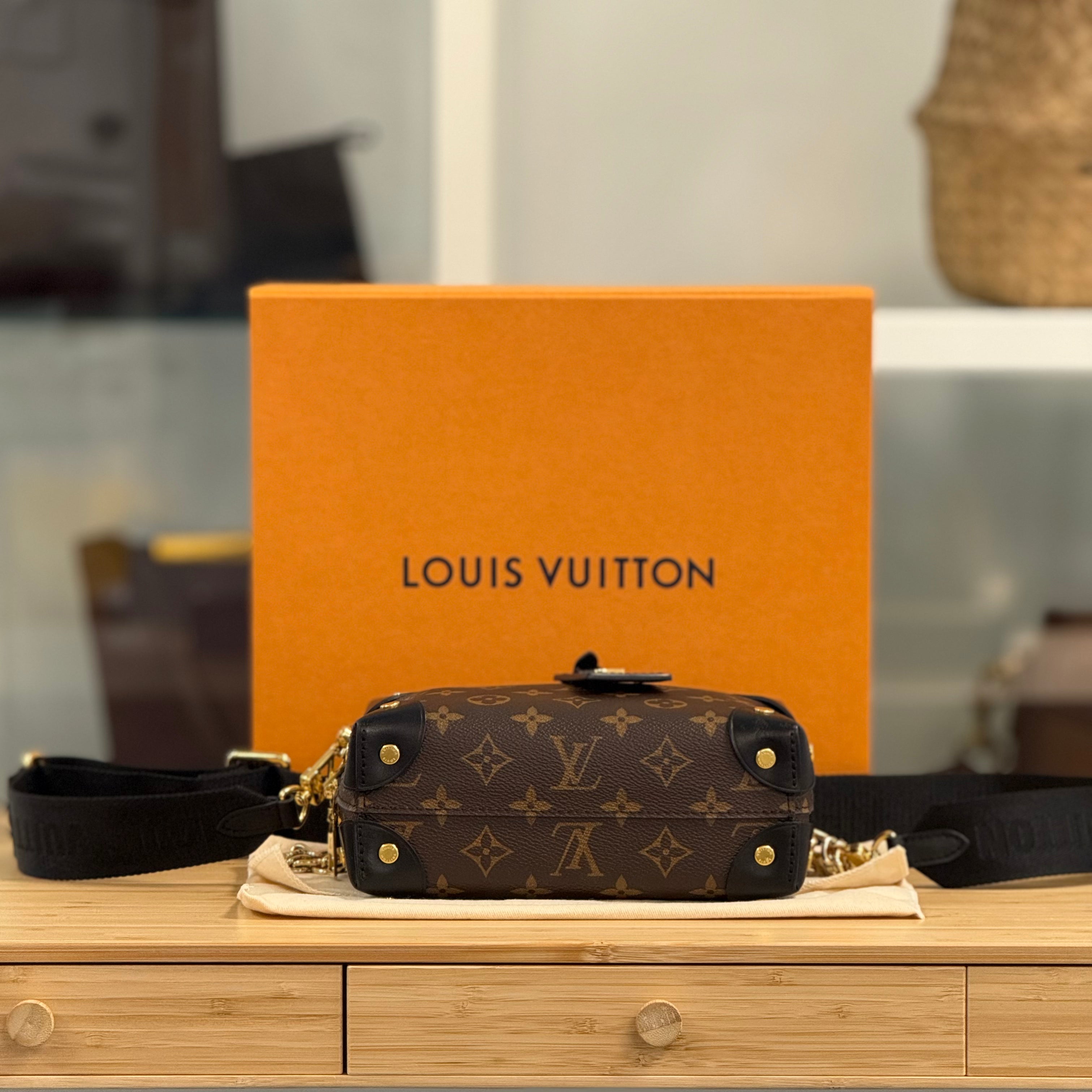 Louis Vuitton Petite Malle Souple