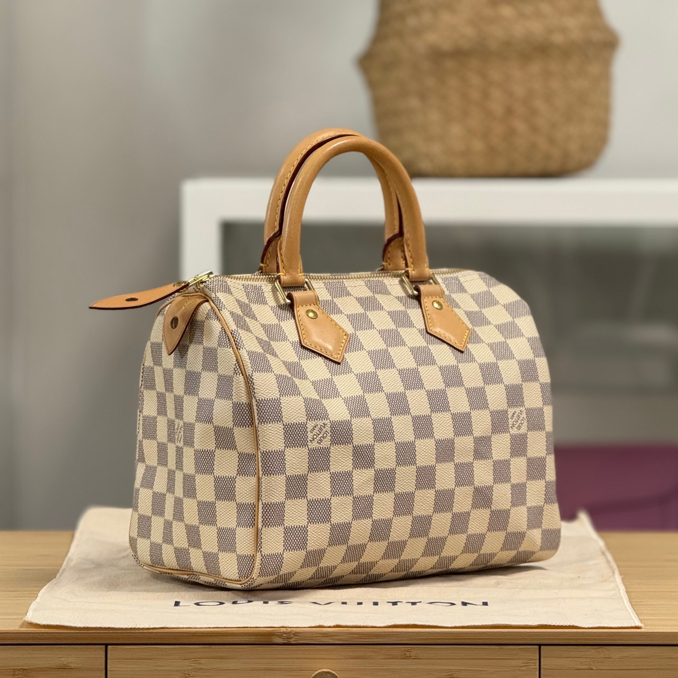 Louis Vuitton Speedy 25 – ARMCANDY BAG CO