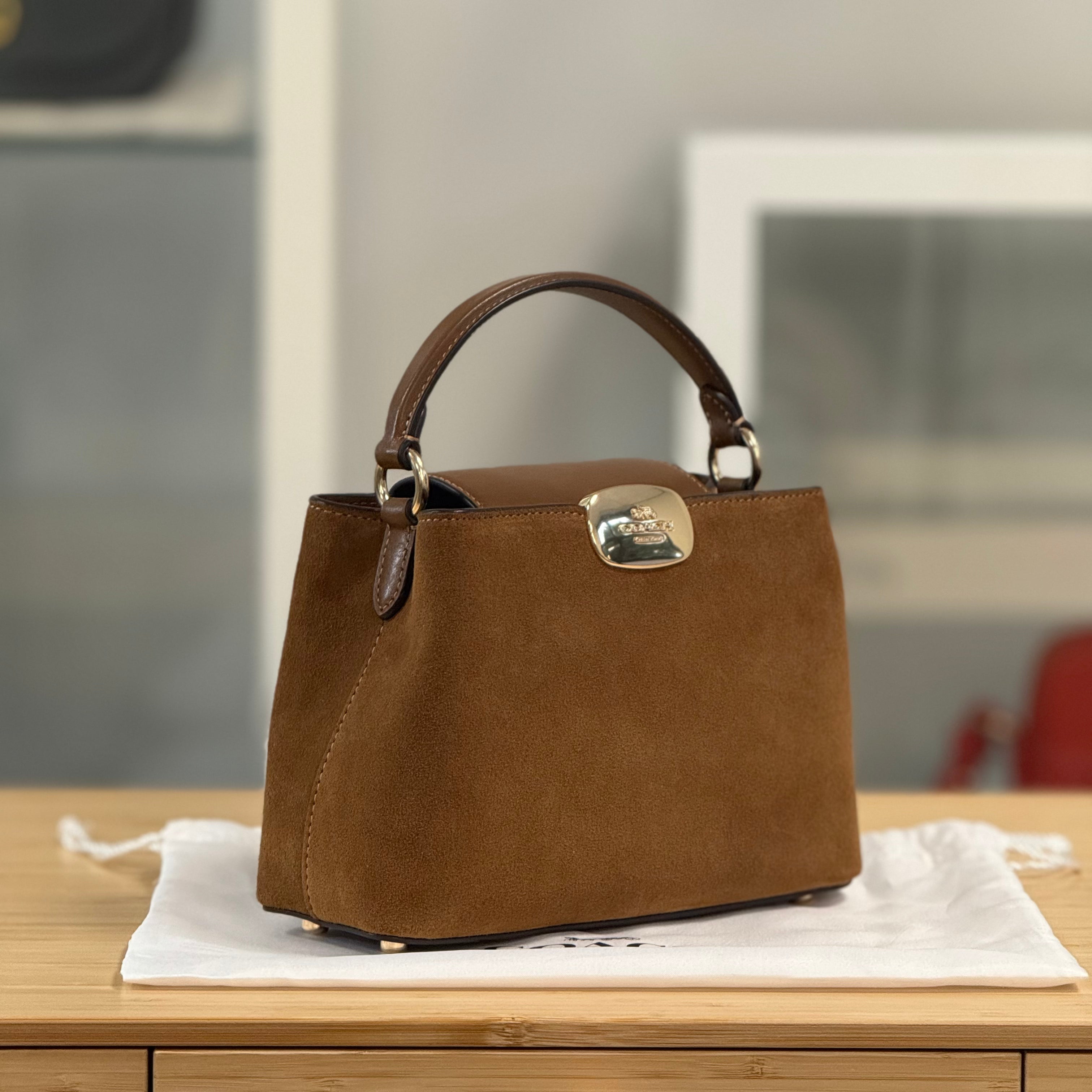 Coach Eliza Mini Carryall 