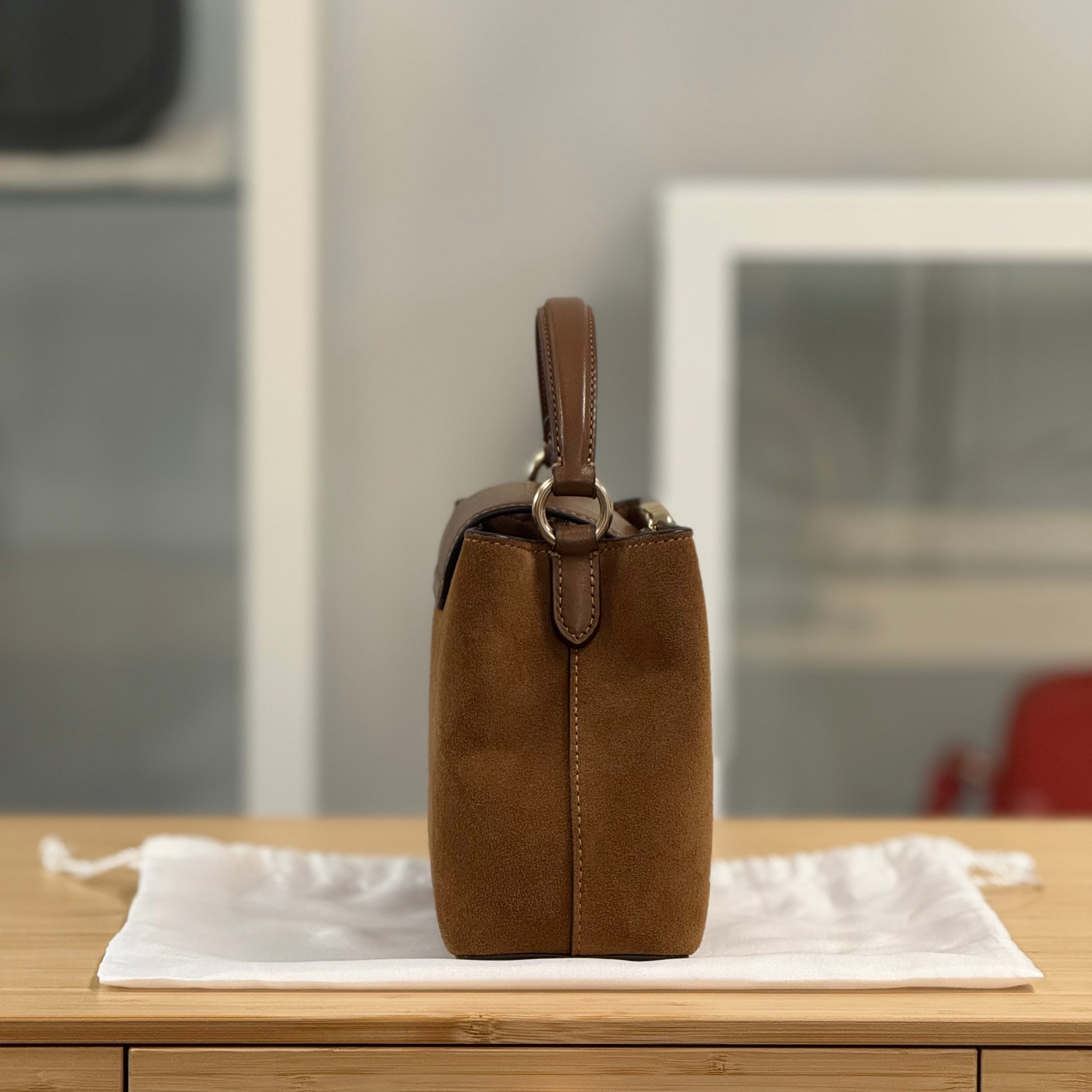 Coach Eliza Mini Carryall 