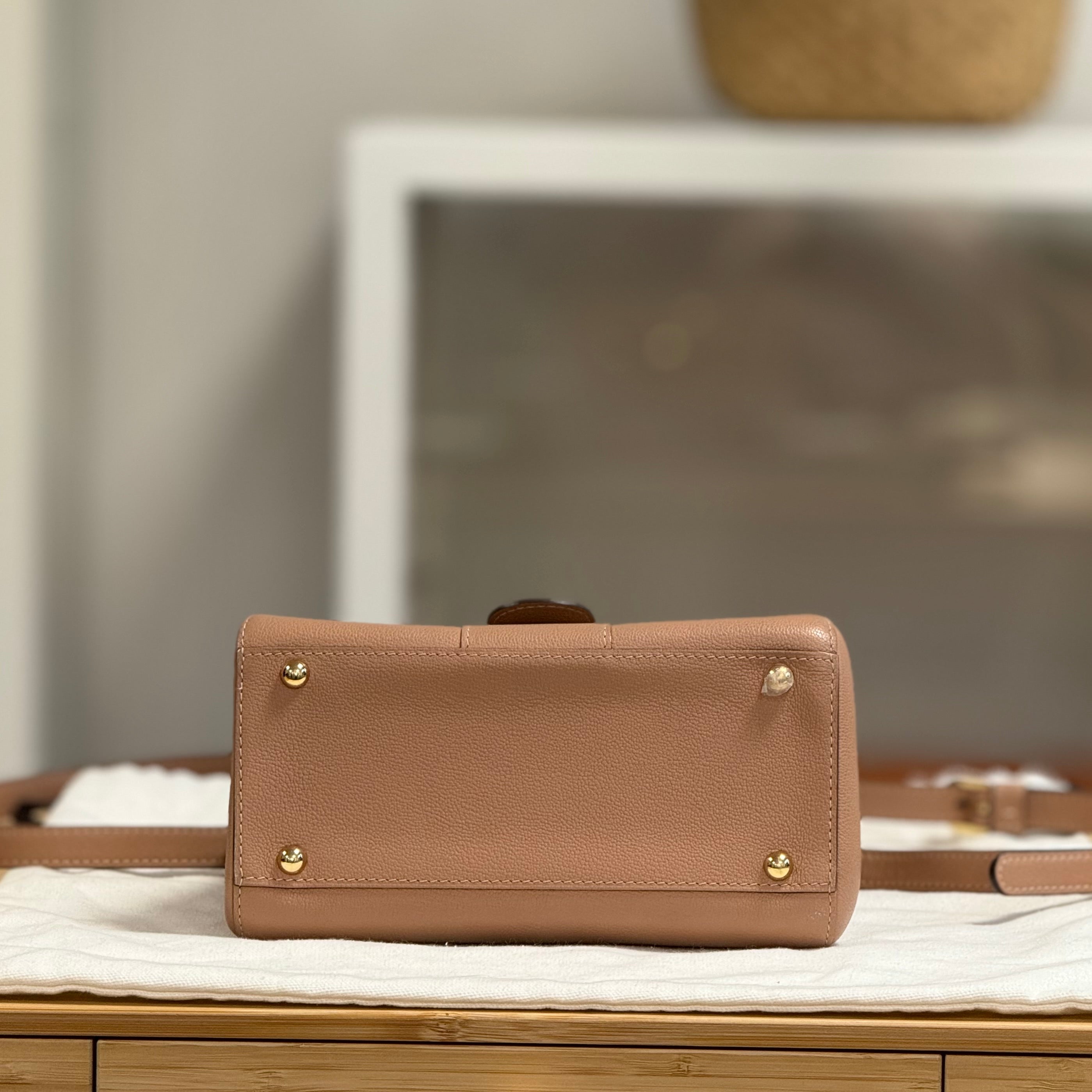 Delvaux Brilliant Mini Rodeo – ARMCANDY BAG CO