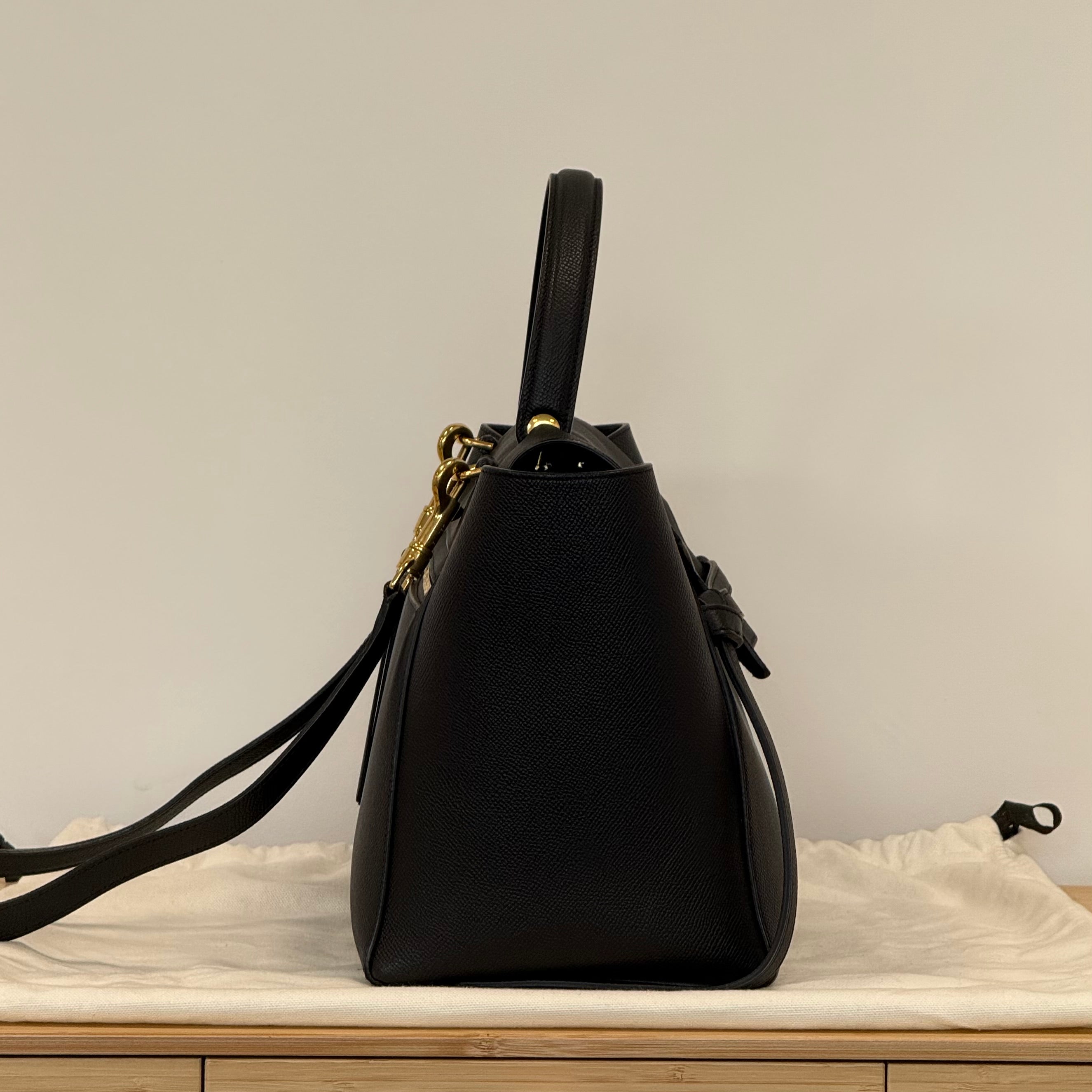 Céline Belt Bag – ARMCANDY BAG CO