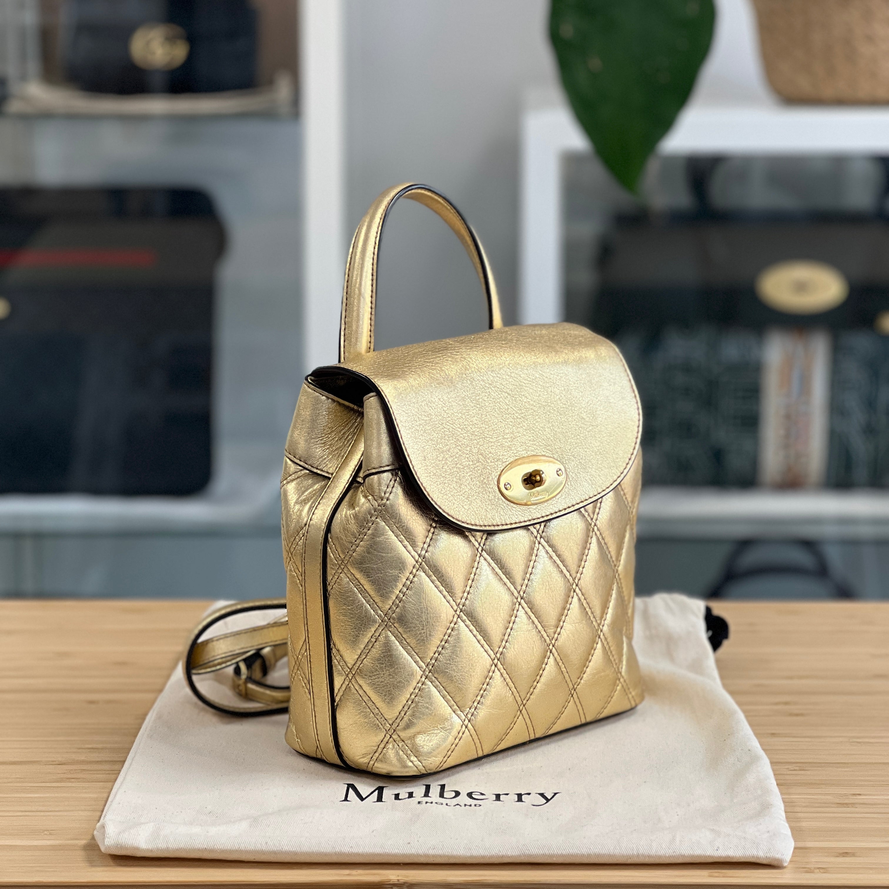 Mulberry Bayswater Backpack