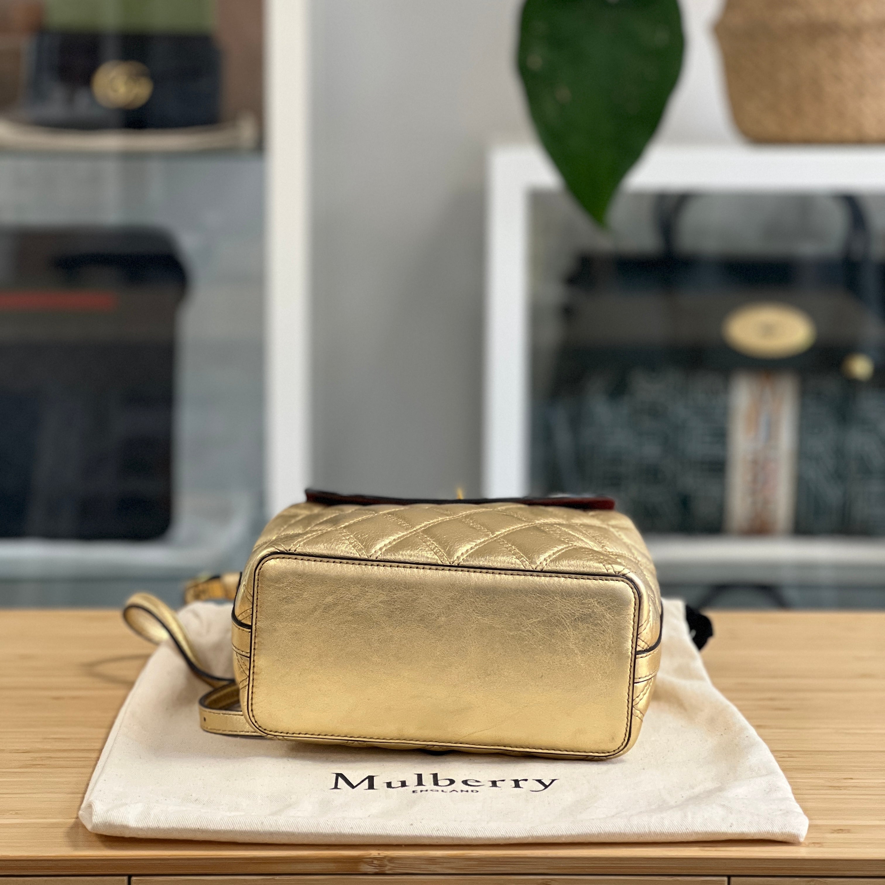 Mulberry Bayswater Backpack