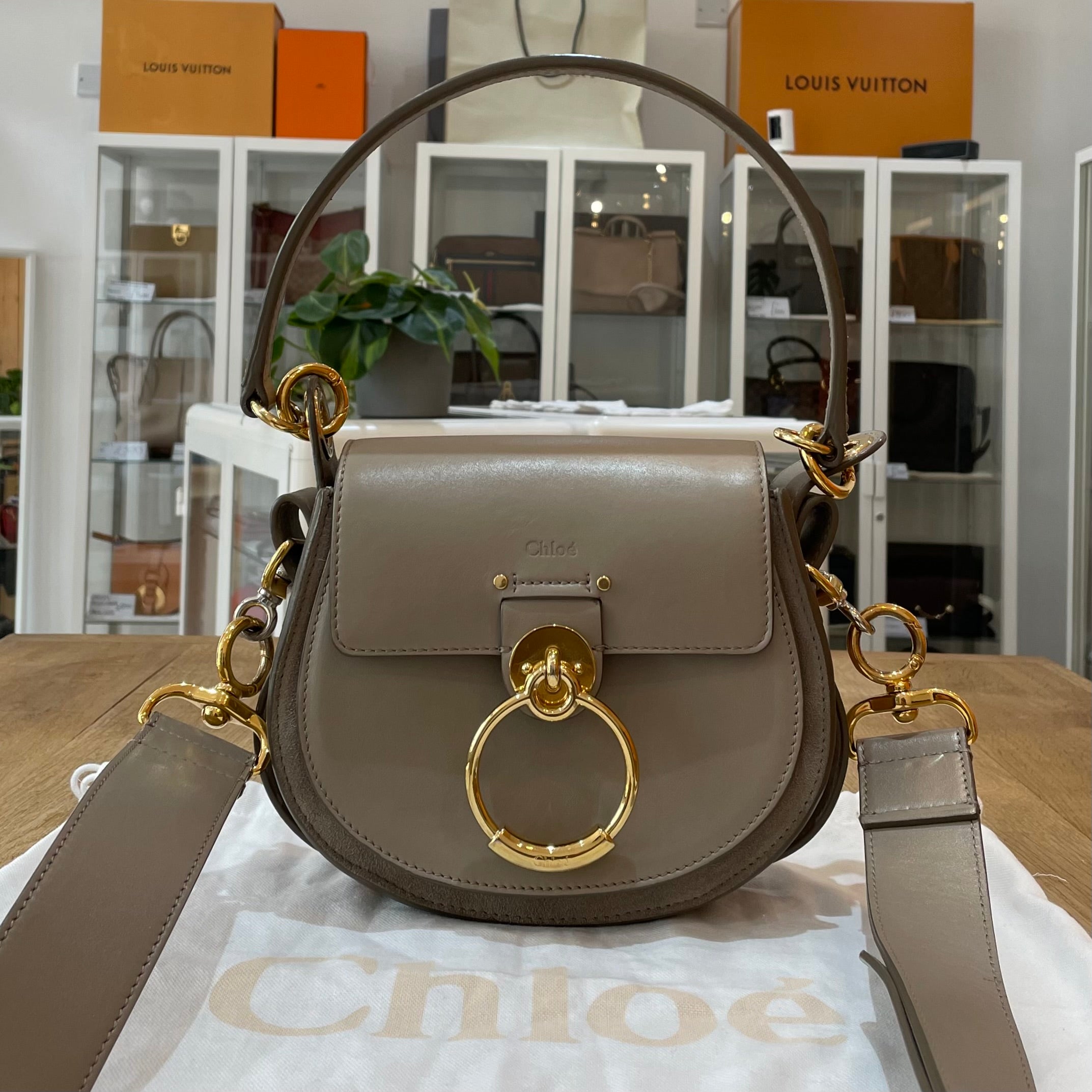 Chloe tess motty fashion grey